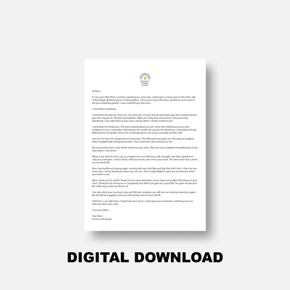 Printable Letter (PDF)