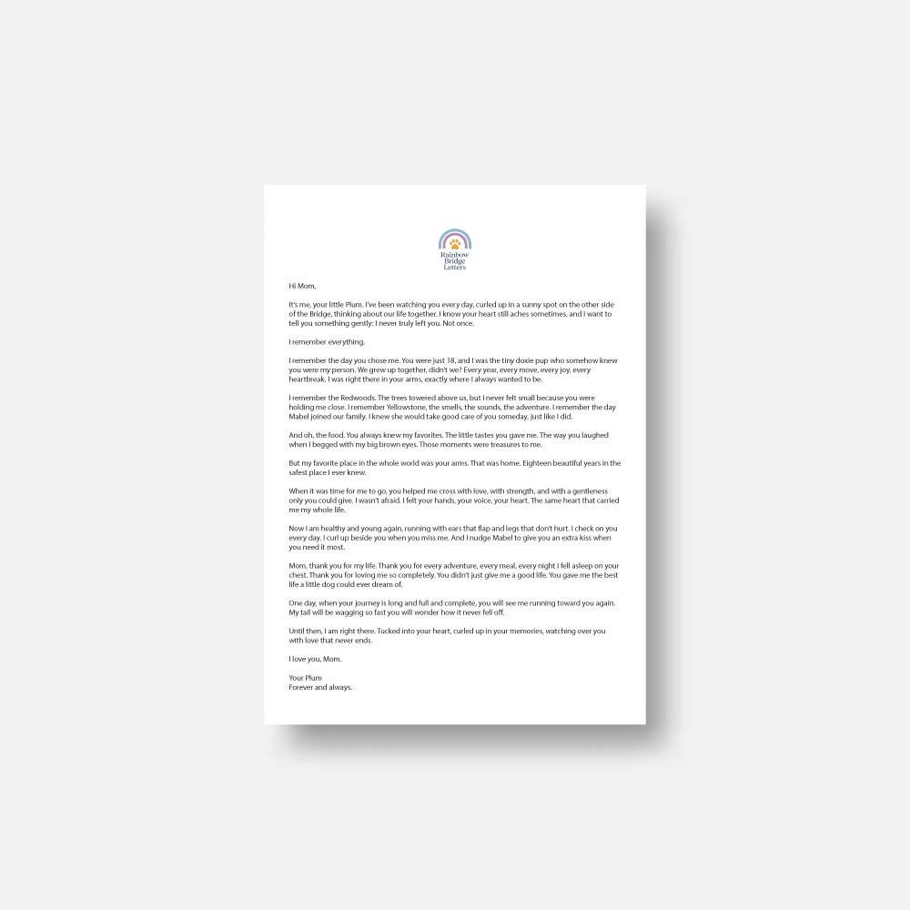 US Letter